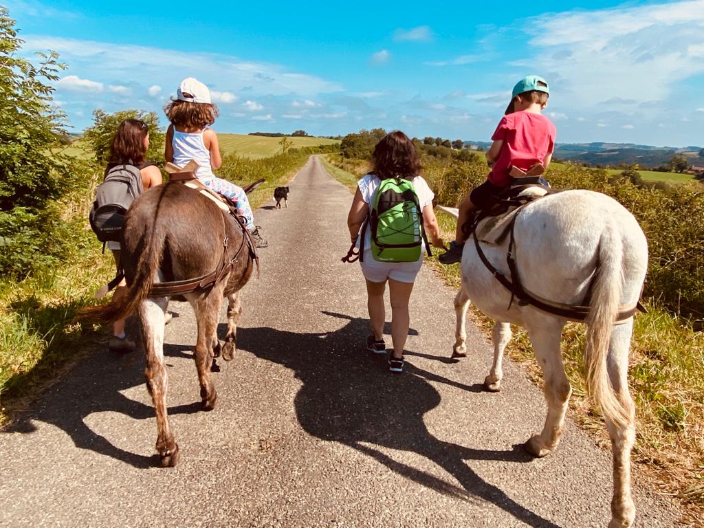Balade avec un âne à la journée