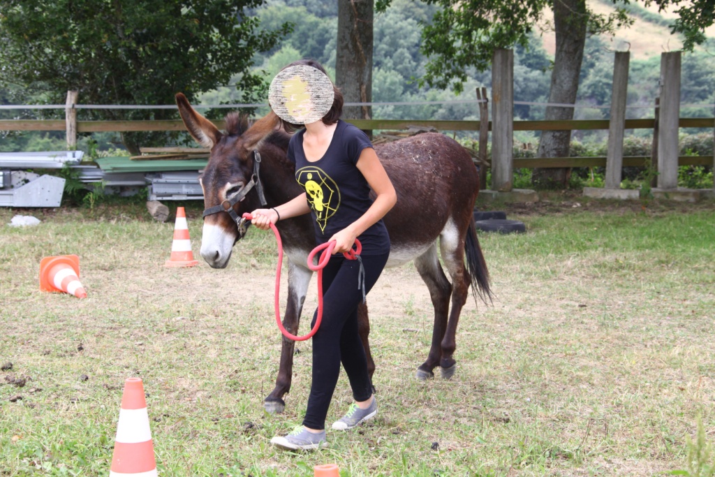 Une journée à la ferme