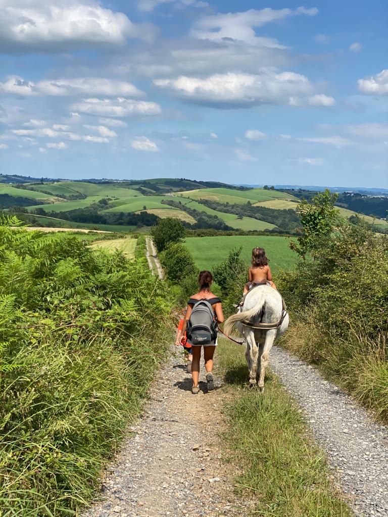 Randonnée avec un âne à la journée